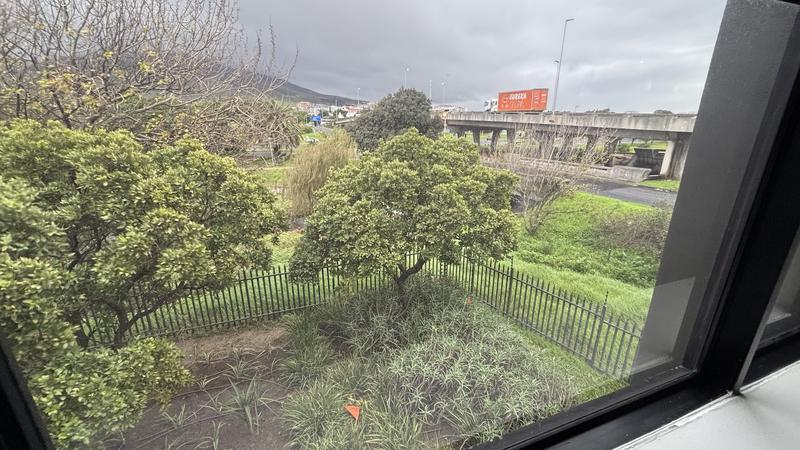 To Let commercial Property for Rent in Mowbray Western Cape